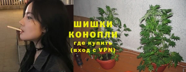 прущая мука Нея
