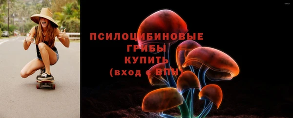 марки lsd Пионерский