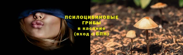mdma Нефтегорск