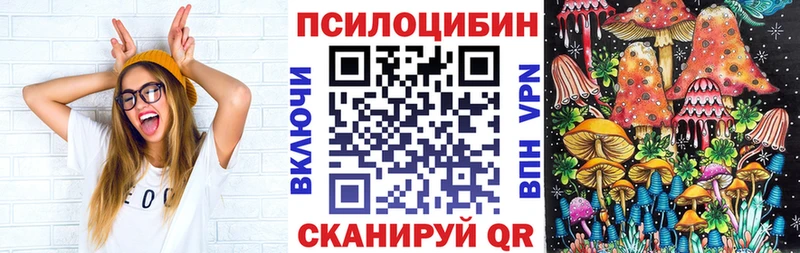 Псилоцибиновые грибы ЛСД  мега ССЫЛКА  Шадринск 