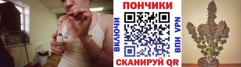 цена   Шадринск  Шишки марихуана планчик 